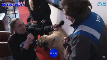 Javier Milei presentó a su perro “Conan” en un programa de streaming