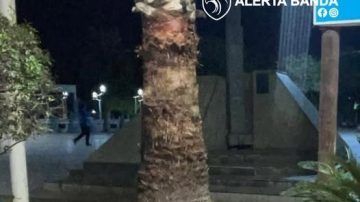 Un motociclista se quedó sin frenos y se estampó contra el mástil de la Plaza Belgrano