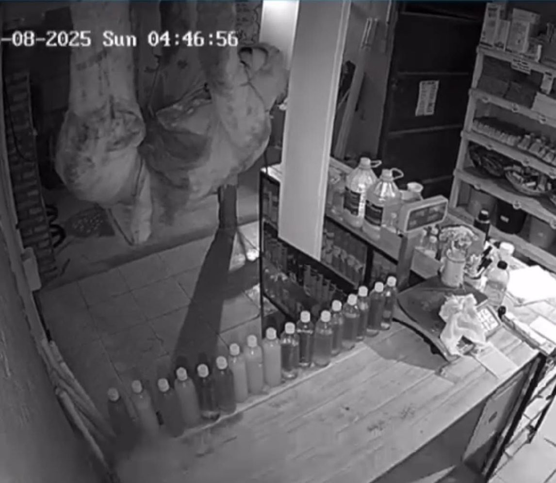 Video: solitario delincuente entra por el techo y roba en un negocio