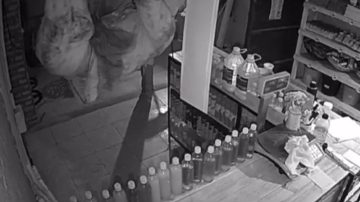 Video: solitario delincuente entra por el techo y roba en un negocio