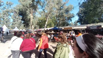 Adiós a la ola polar: Anticipan un domingo agradable con máxima de 25° C