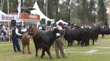 Arrancó la Expo Santiago Productivo con una amplia agenda de actividades: mirá el programa