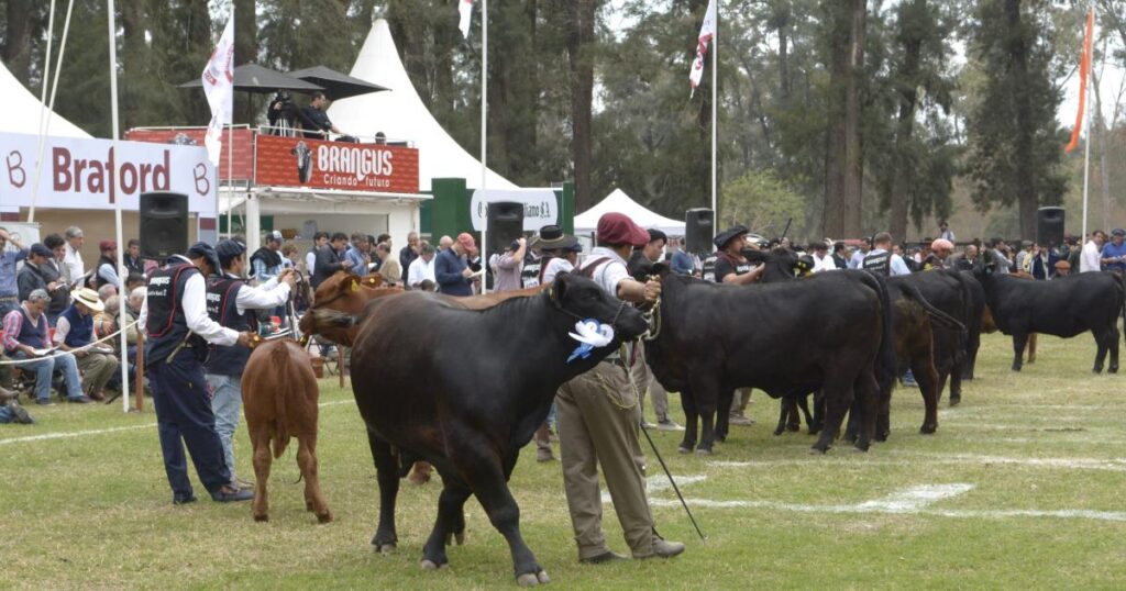Hoy arranca la Expo Santiago Productivo con una amplia agenda de actividades: mirá el programa