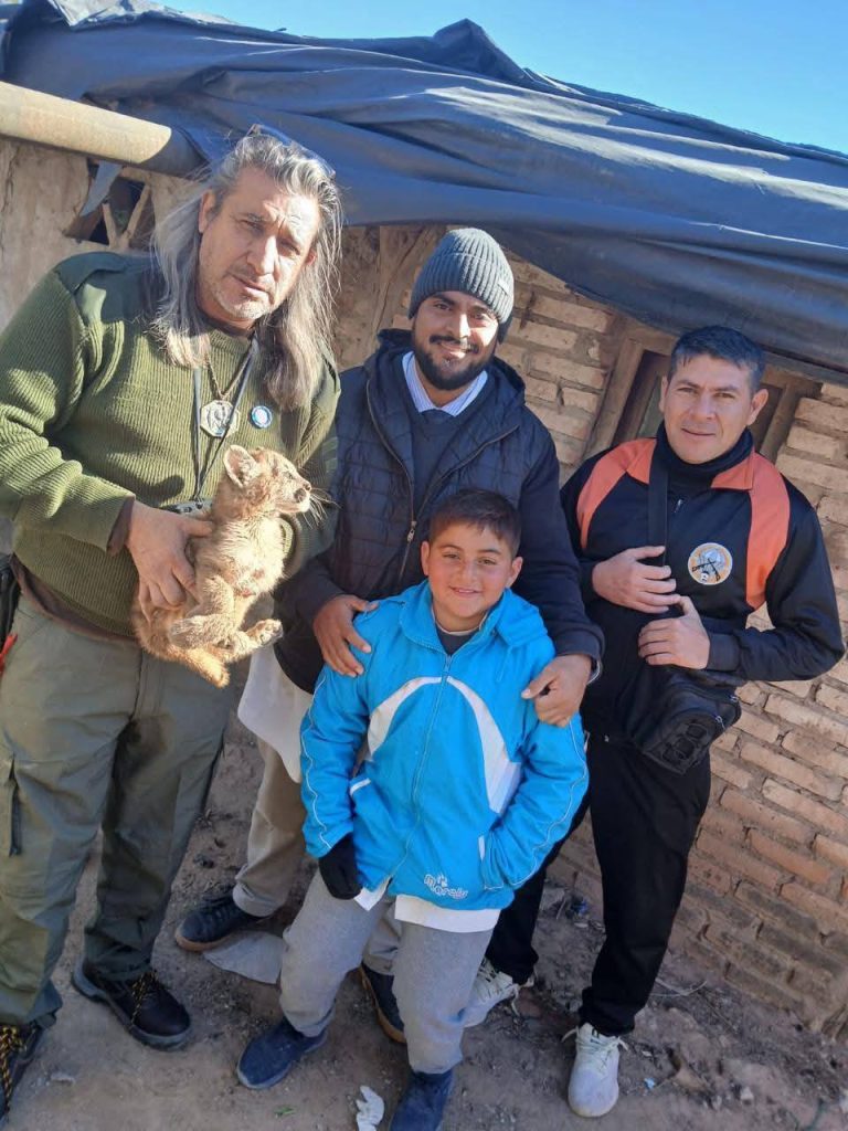 Rescataron un cachorro de puma en el departamento Avellaneda