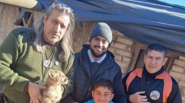 Rescataron un cachorro de puma en el departamento Avellaneda