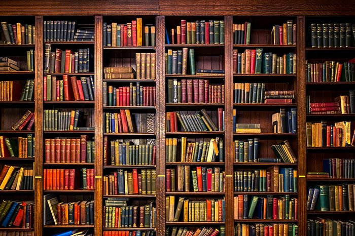 La Biblioteca Popular Almafuerte ya cuenta con su logotipo institucional