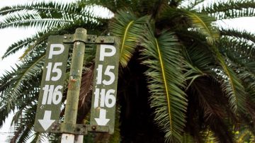 “No se pagaron los sueldos y lo preocupante es que no hay plata”: la UTA ratifica el paro total de colectivos