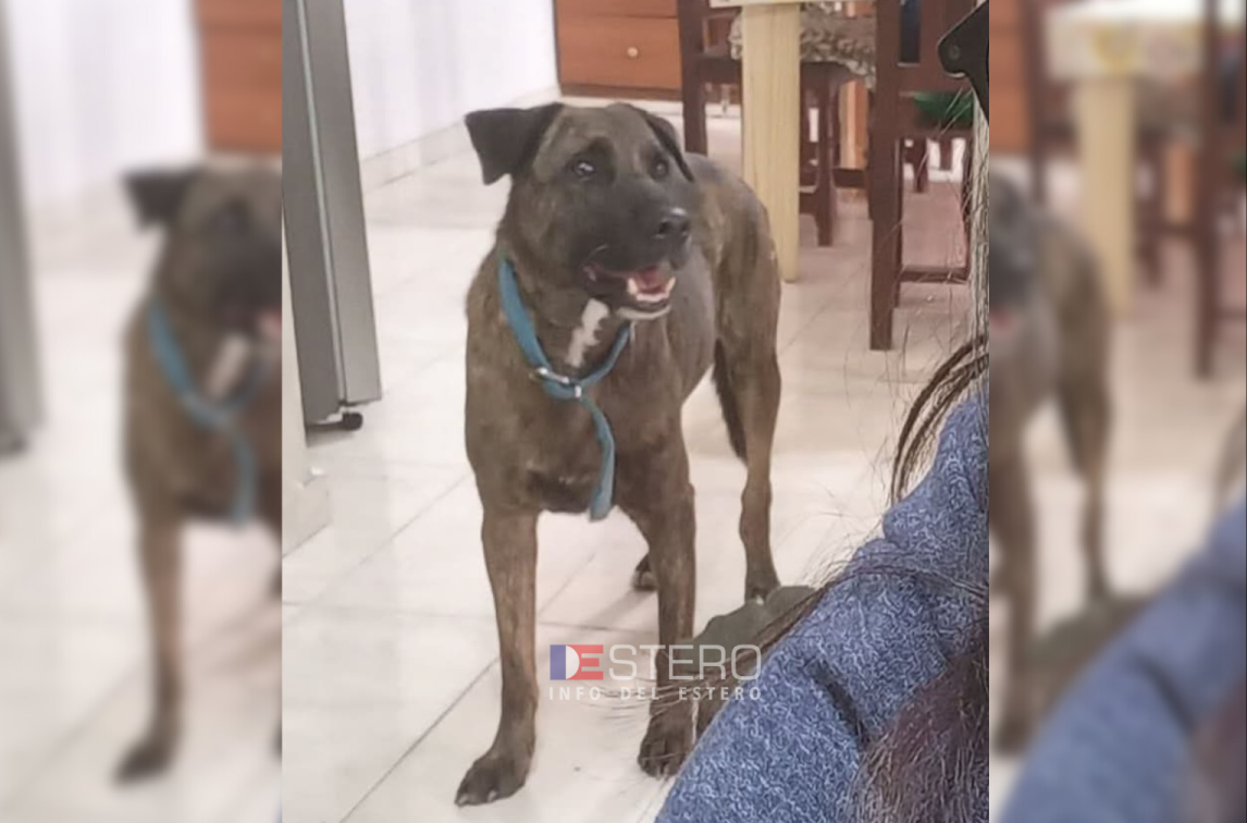 Una familia pide ayuda para encontrar a Bartolo