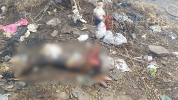 Horror: Hallaron restos humanos en el basural municipal de Añatuya e investigan su origen