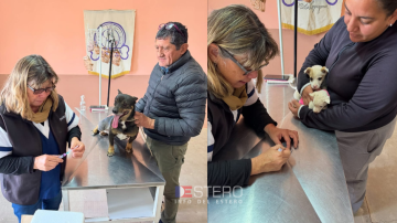 Campo Gallo realizó con éxito una nueva campaña antirrábica gratuita