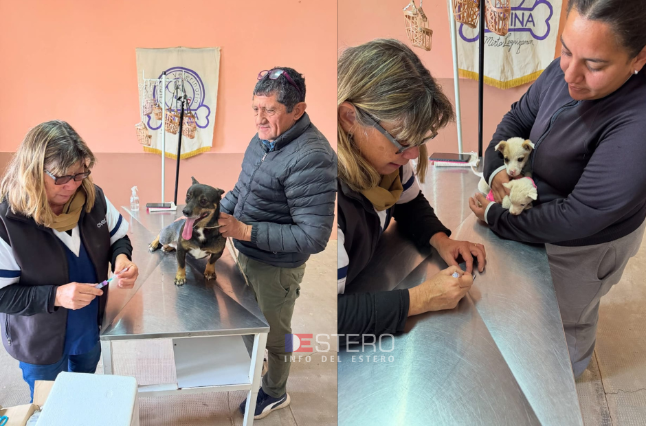 Campo Gallo realizó con éxito una nueva campaña antirrábica gratuita