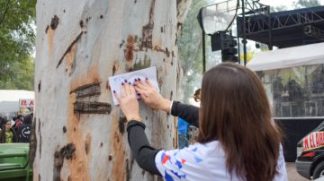 Info del Estero premió a los visitantes de la Feria Artesanal con sobres “sorpresa”