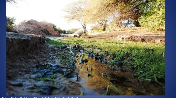 INTA Quimilí concluyó con éxito el concurso fotográfico “Los Colores de mi Tierra”