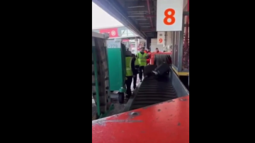 VIDEO | Filman a maleteros que revoleaban valijas en Aeroparque: fueron despedidos de inmediato