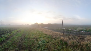 Un niño de 2 años fue hallado muerto en un campo: su cuerpo estaba repleto de modidas de perro