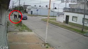 Crimen de un chofer de app: lo mataron de un tiro en la pierna para robarle el auto y todo quedó filmado