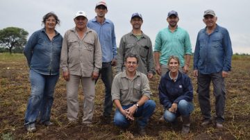Avanza la producción de semilla fiscalizada de alfalfa Salinera INTA para el mercado regional