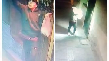 VIDEO| Las Termas: Ágil ladrón de focos y cables tiene hartos a los vecinos de El Alto