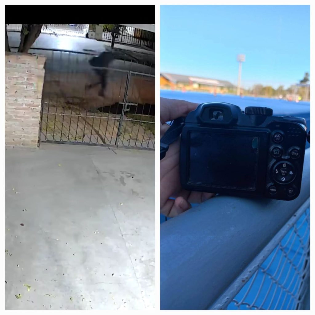 Joven pide ayuda para recuperar pertenencias que le robaron
