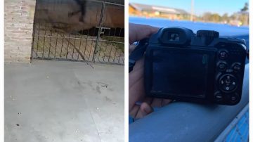 Joven pide ayuda para recuperar pertenencias que le robaron