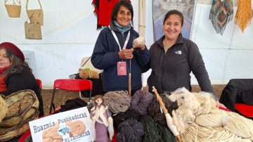 Hilado artesanal y muñecas de fieltro: dos propuestas que se destacan en la Expo Santiago Productivo