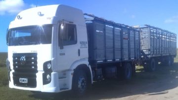 Niña de 7 años se salvó de milagro tras ser rozada por un camión en plena ruta