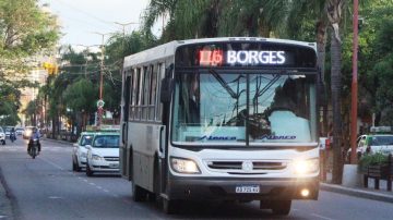 El traslado en colectivo será gratis para participar de la vigilia por el aniversario de la ciudad