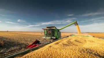 Se acaban los dólares del agro y el Gobierno compró menos de lo esperado