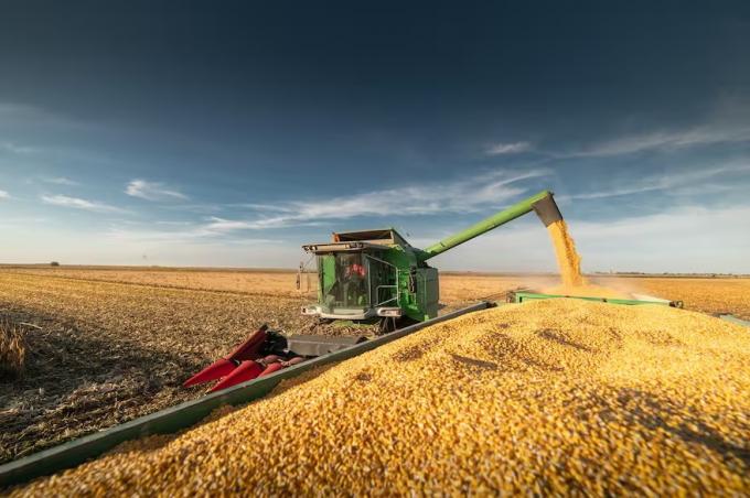 Se acaban los dólares del agro y el Gobierno compró menos de lo esperado