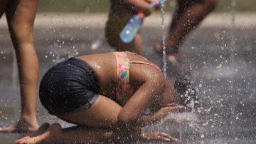 Ocho personas murieron a causa de la ola de calor en Europa