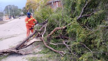 El viento no se detiene y provoca daños en la capital santiagueña