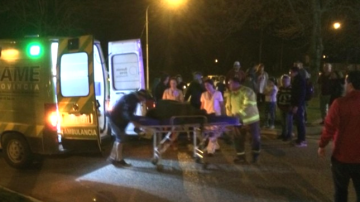 Susto en Río Hondo: funcionario policial lesionado al estrellarse contra un animal