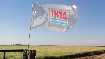 El Gobierno nombró autoridades en el INTA, INASE e INV tras la restitución de organismos