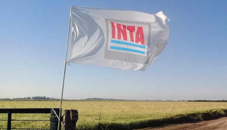 El Gobierno nombró autoridades en el INTA, INASE e INV tras la restitución de organismos