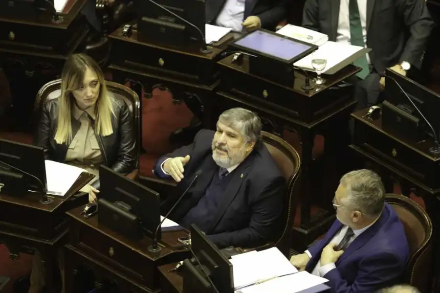 “Milei está desquiciado”, disparó José Mayans en el Senado