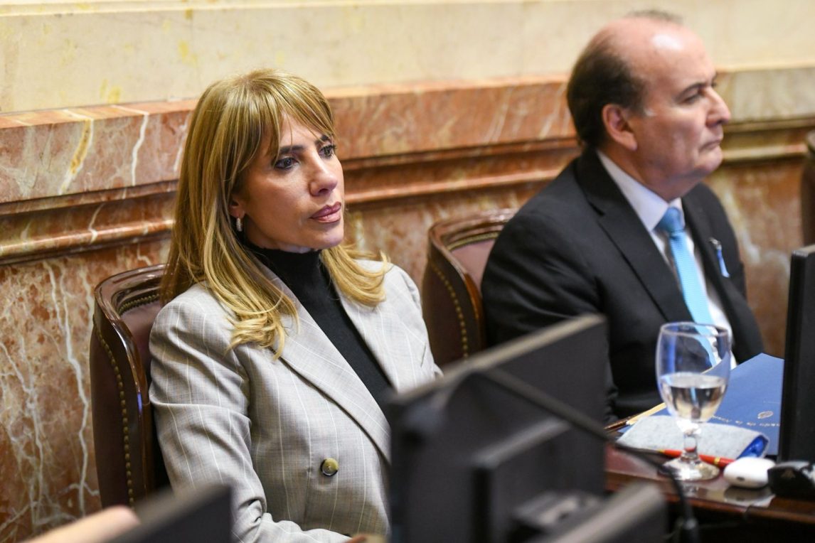 Claudia Ledesma tras la sesión en el Senado: “Estamos dando respuestas concretas a problemas urgentes de la gente”