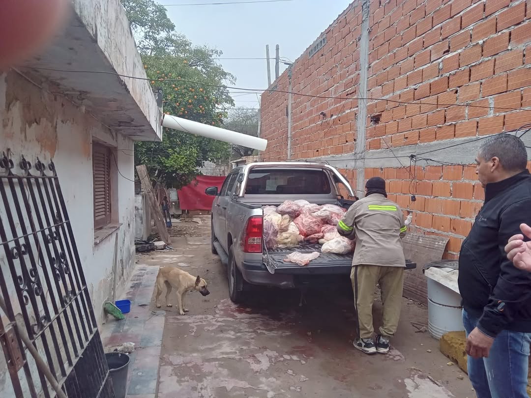 Decomisan vísceras de animales transportadas en condiciones sanitarias indebidas