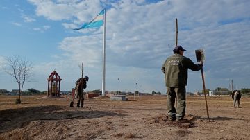 Realizan un operativo de reposición de árboles en la rotonda del barrio Autonomía y en la costanera Diego Maradona
