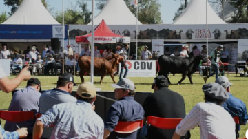 Comienza “Santiago Productivo”: Producción con raíces santiagueñas y mirada al futuro