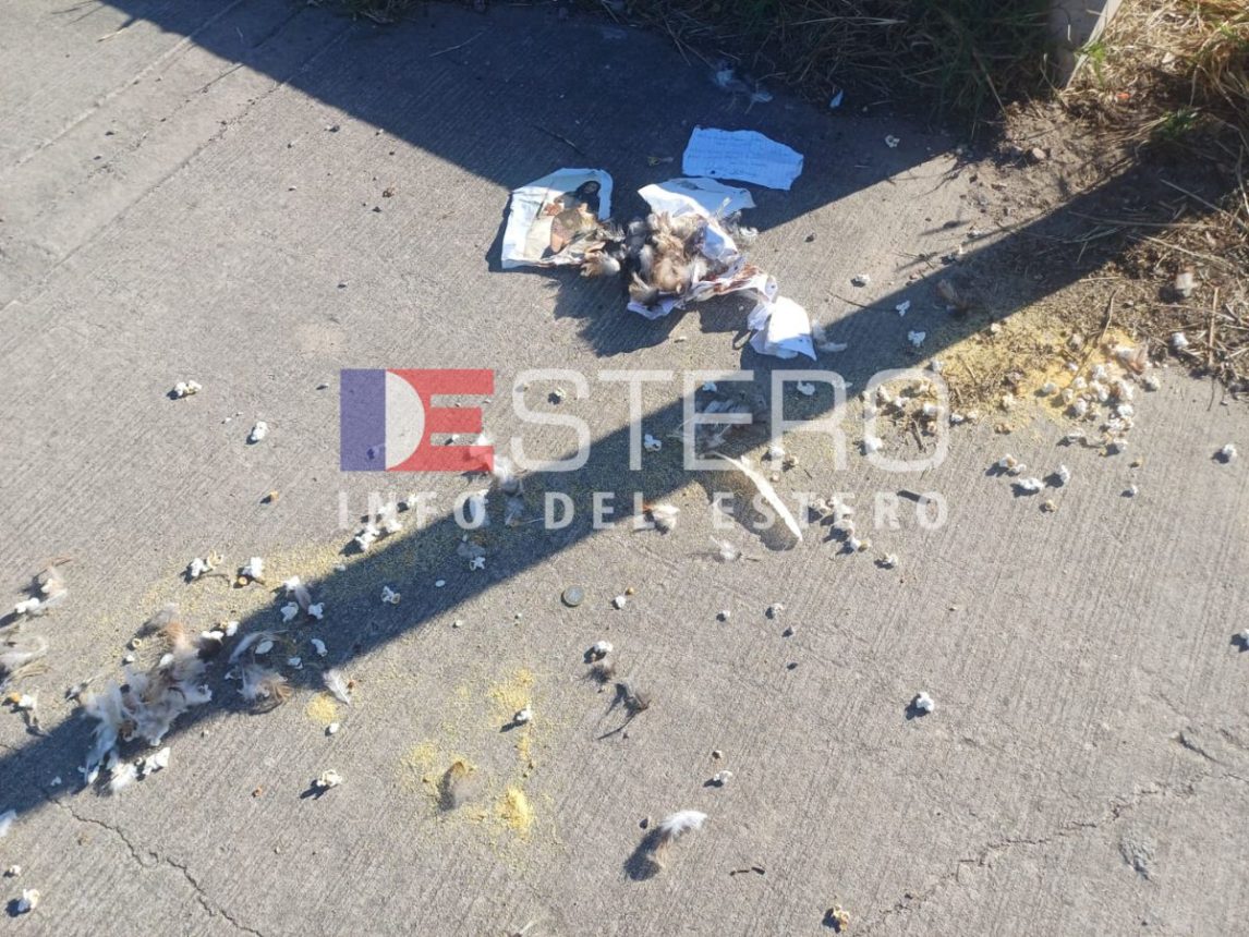 “Oxum” y “Boro”: descubren elementos de ritual umbanda cerca del río en Santiago del Estero