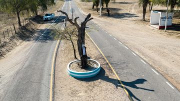 Halló muerto a su perro tras ser baleado; regresaba de la casa de sus vecinos