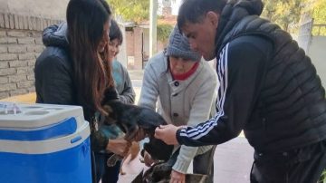 Atención mascoteros: realizarán vacunación y desparasitación gratuita en el barrio René Favaloro