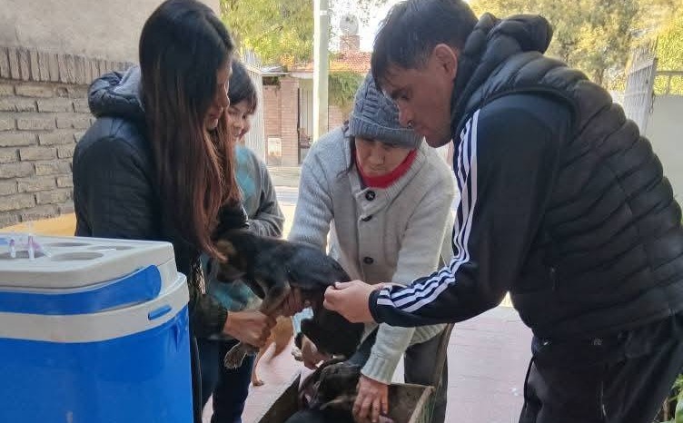 Atención mascoteros: realizarán vacunación y desparasitación gratuita en el barrio René Favaloro