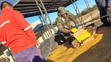 Descubren más de 40 kilos de cocaína en un cargamento de granos de maíz