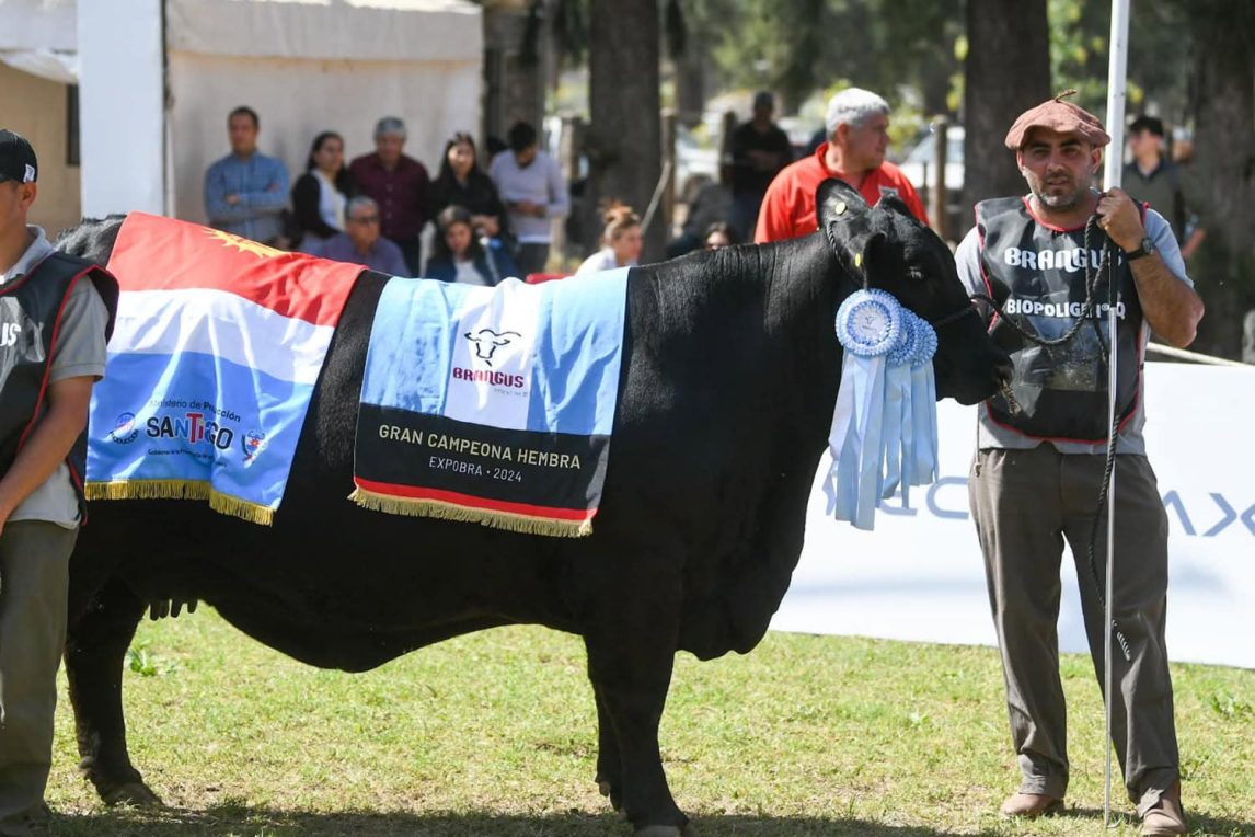 La ExpoBra 2025 ya tiene fecha en Santiago del Estero: cuándo será