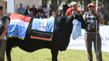 La ExpoBra 2025 ya tiene fecha en Santiago del Estero: cuándo será