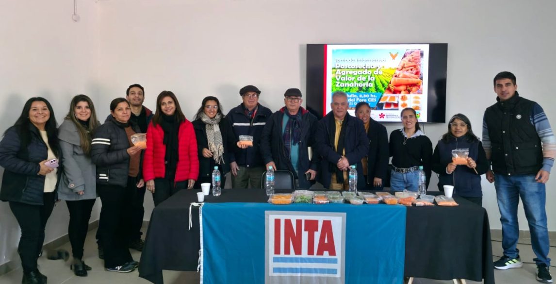 Harina con descarte de zanahoria: productores e investigadores retoman proyecto en Santiago del Estero