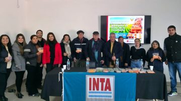 Productores e investigadores de Santiago del Estero exploran nuevas formas de aprovechar descartes de zanahoria