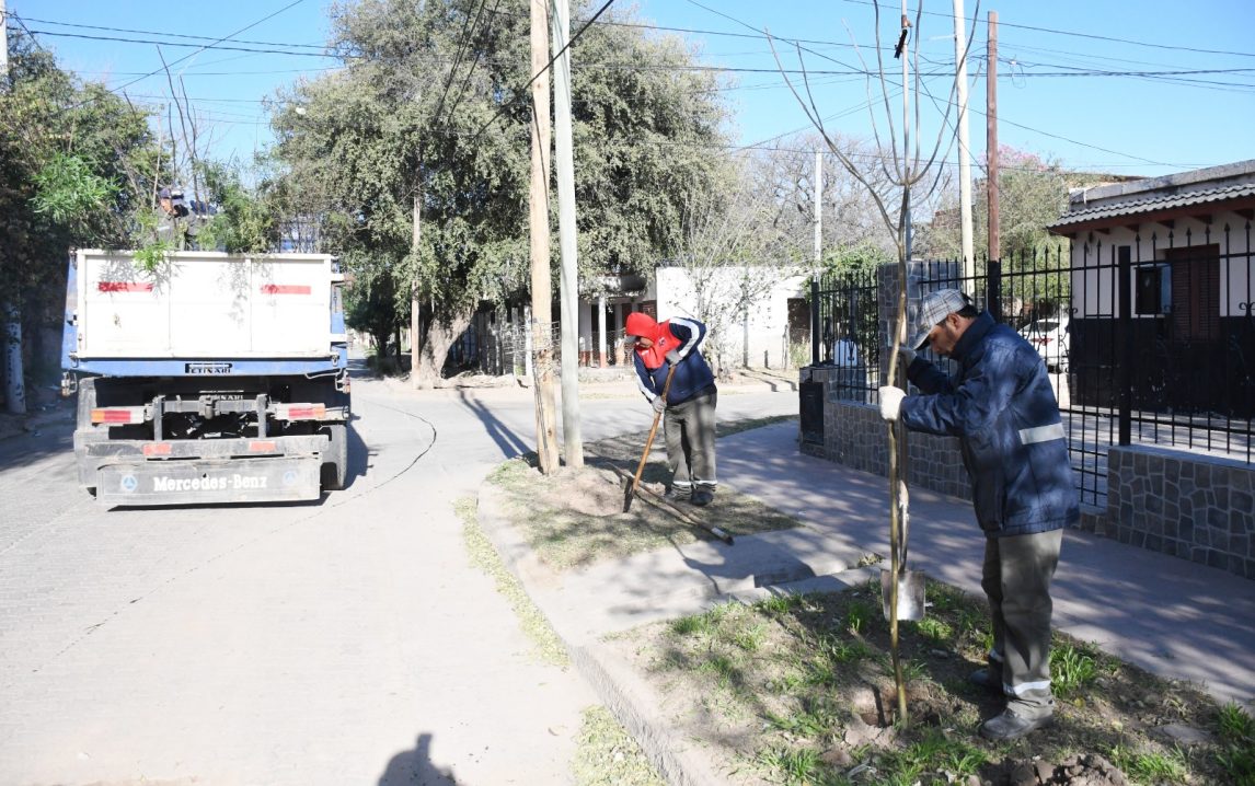 Plantan más de 3000 árboles en el barrio Huaico Hondo