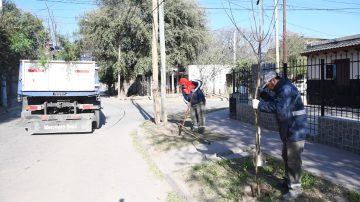 Plantan más de 3000 árboles en el barrio Huaico Hondo